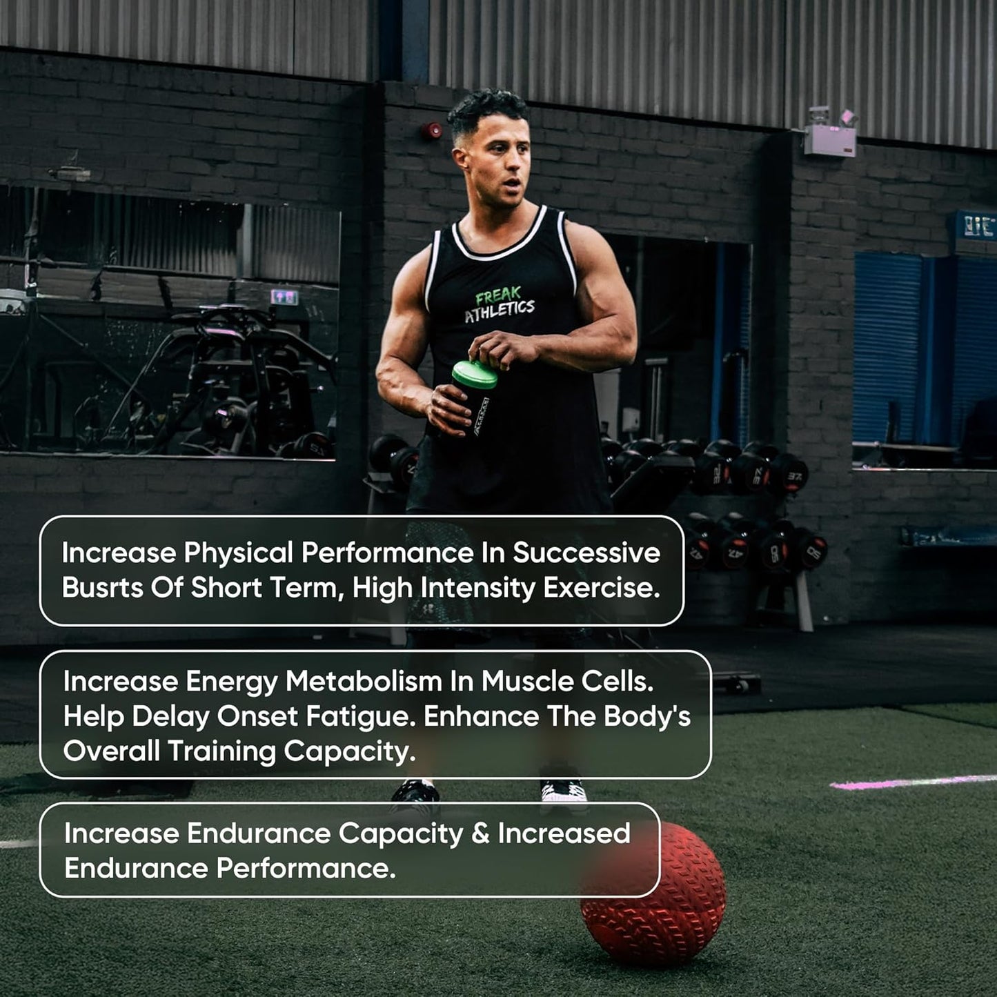 Beta Alanine Powder 250g