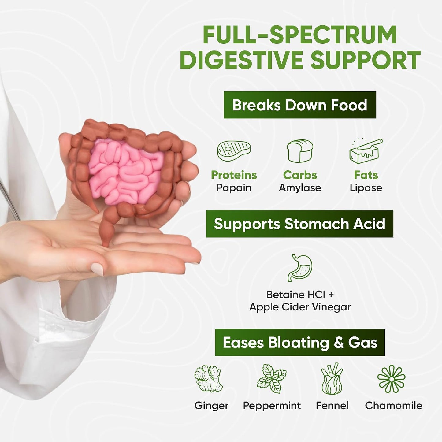 Digestive Enzymes
