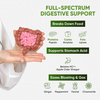 Digestive Enzymes